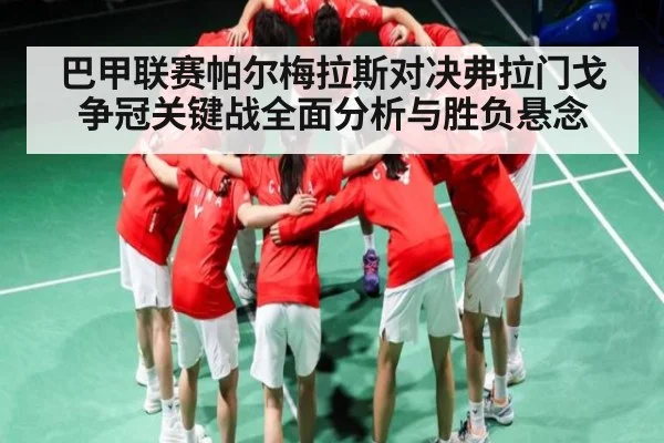 巴甲联赛帕尔梅拉斯对决弗拉门戈争冠关键战全面分析与胜负悬念